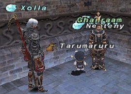ff100820-15.jpg