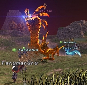 ff100906-1.jpg