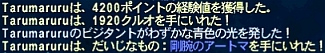 ff100909-6.jpg