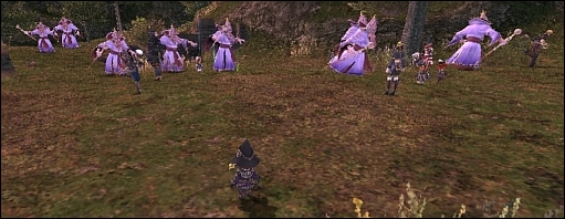 ff101113-1.jpg