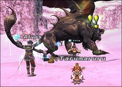 ff101120-1.jpg