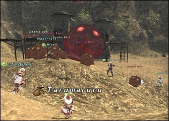 ff110829-12.jpg