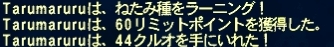 ff110829-17.jpg