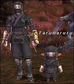 ff111025-14.jpg