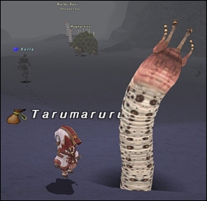 ff111120-9.jpg