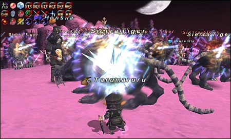 ff120106-14.jpg
