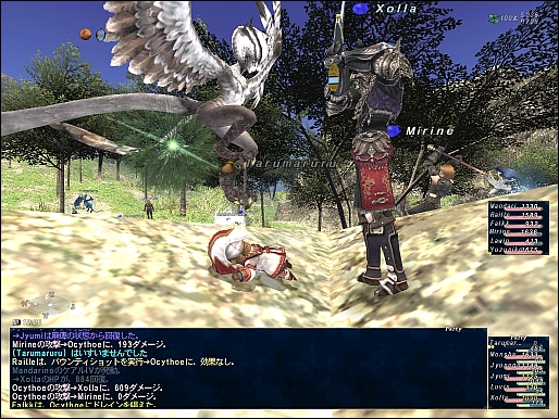ff120111-9.jpg