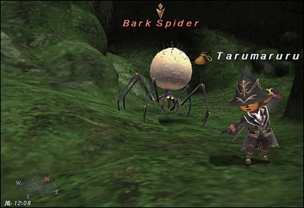 ff120116-2.jpg