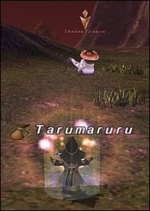 ff120118-6.jpg