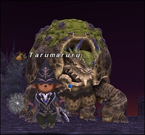 ff120213-3.jpg