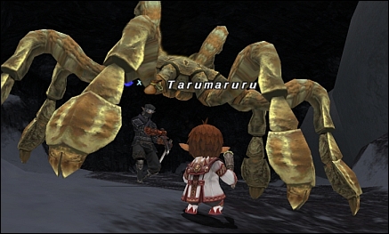 ff120222-1.jpg