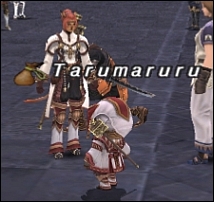 ff120224-11.jpg
