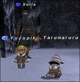 ff120229-3.jpg