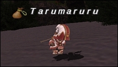 ff120424-9.jpg