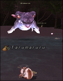 ff120424-8.jpg