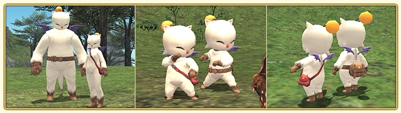 ff120429-1.jpg