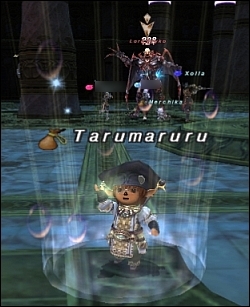 ff120508-1.jpg