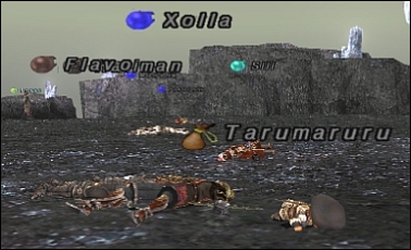 ff120521-4.jpg