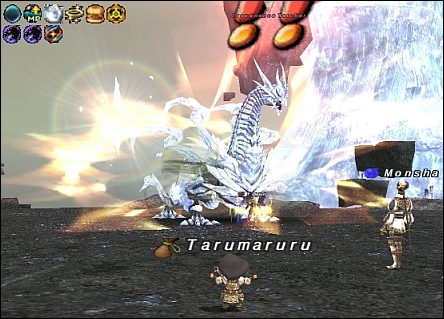 ff120521-7.jpg