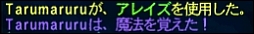 ff120529-6.jpg
