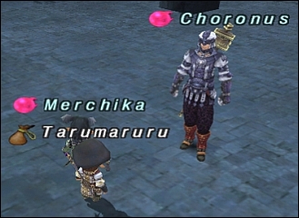 ff120608-6.jpg