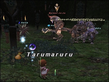 ff121010-19.jpg