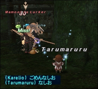 ff121010-15.jpg