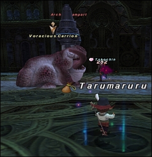 ff130212-7.jpg