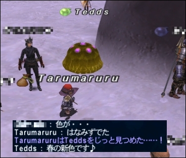 ff130305-6.jpg