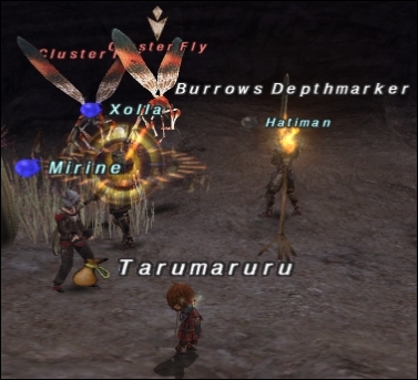 ff130311-4.jpg