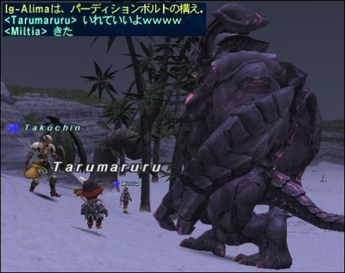 ff130320-7.jpg
