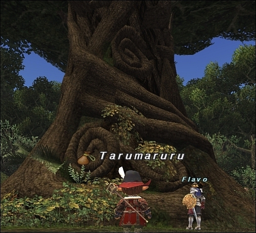 ff130502-5.jpg