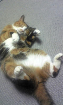 080308_025035.jpg