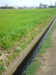 寒川