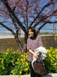 河津桜