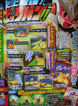 DSCN1034.jpg