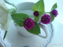 200709.jpg