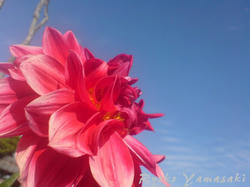 20071014b.jpg