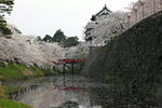 hirosakijo