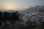 hirosakijo2