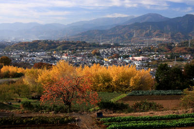 IMG_73501.jpg