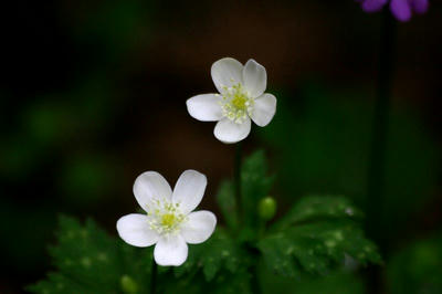 IMG_46871.jpg