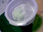 DCF_0002.JPG