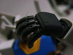 977403b0.JPG