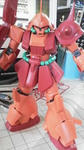 P1000041.JPG