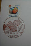 20100726matsuyamachuo.jpg