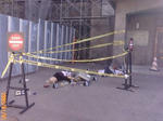 F1000177.JPG