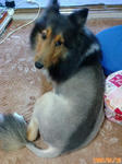 F1000406.JPG