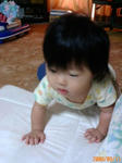 F1000510b.JPG