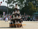 IMG_1786.jpg